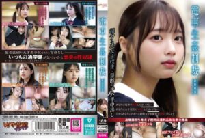 キャラクターへの没入感が半端ない電車生姦制裁 ＃009