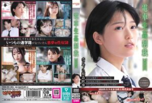 キャラクターへの没入感が半端ない電車生姦制裁 ＃003